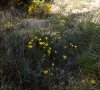 Milieu © ET