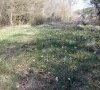 milieu