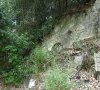 Milieu